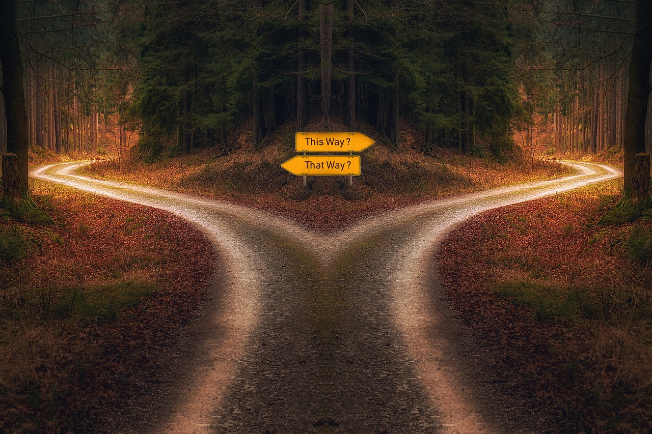 Image of trail with a decision to go left or right.