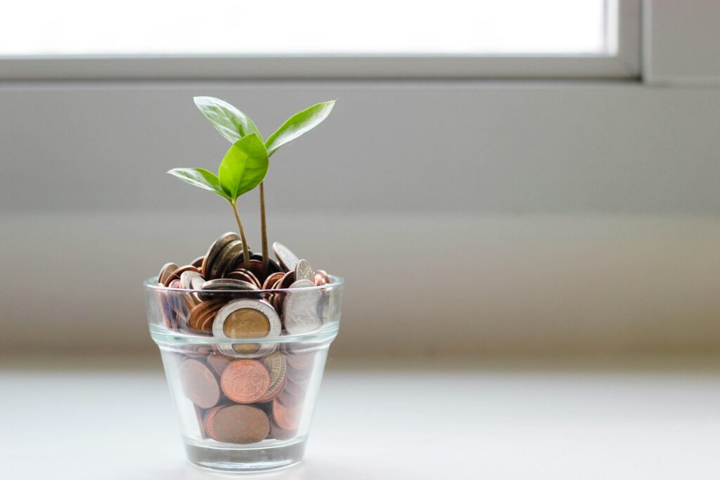 Picture of small plant inside a potter that is filled with coins